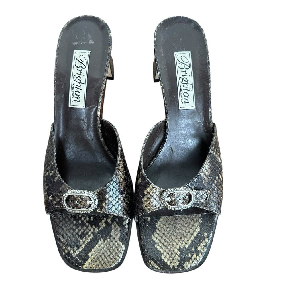 Brighton Women's France Brown Leather Snakeskin Silver Buckle Chunky Heel 9.5
